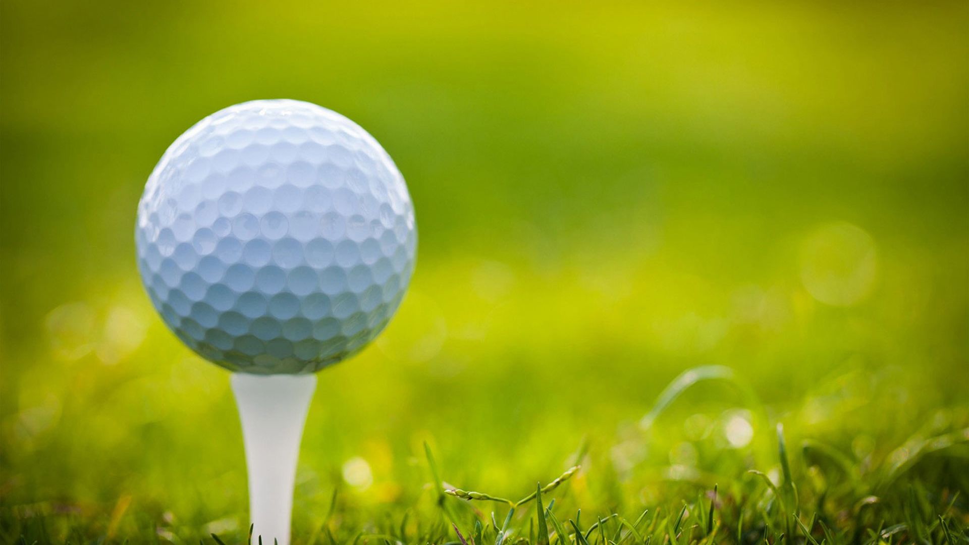 A Golf Ball On Grass